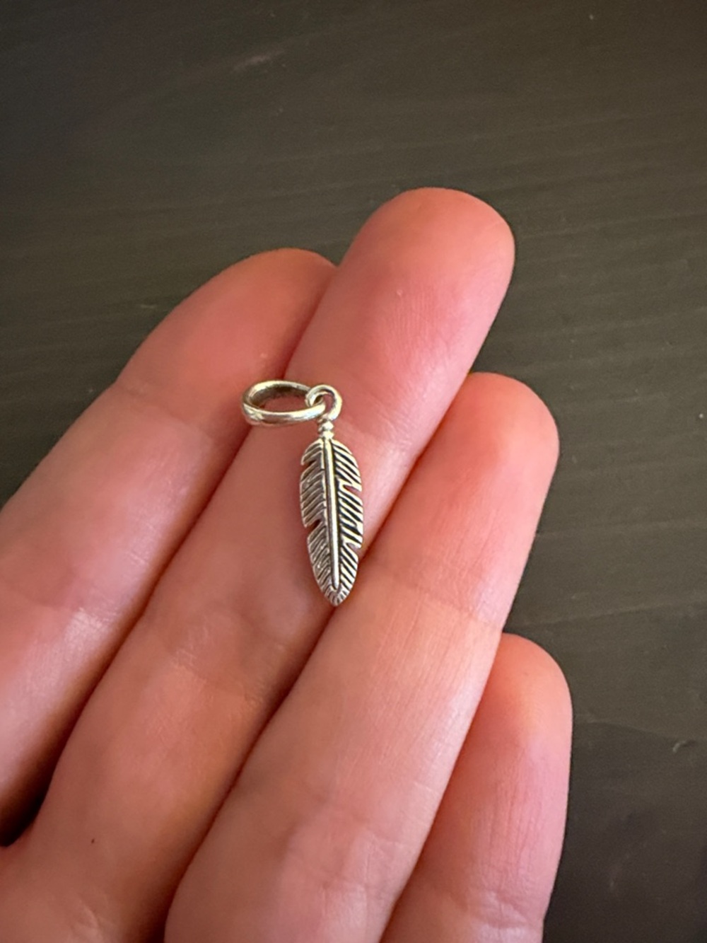 Sterling Silver Feather Charm Pendant - Silver